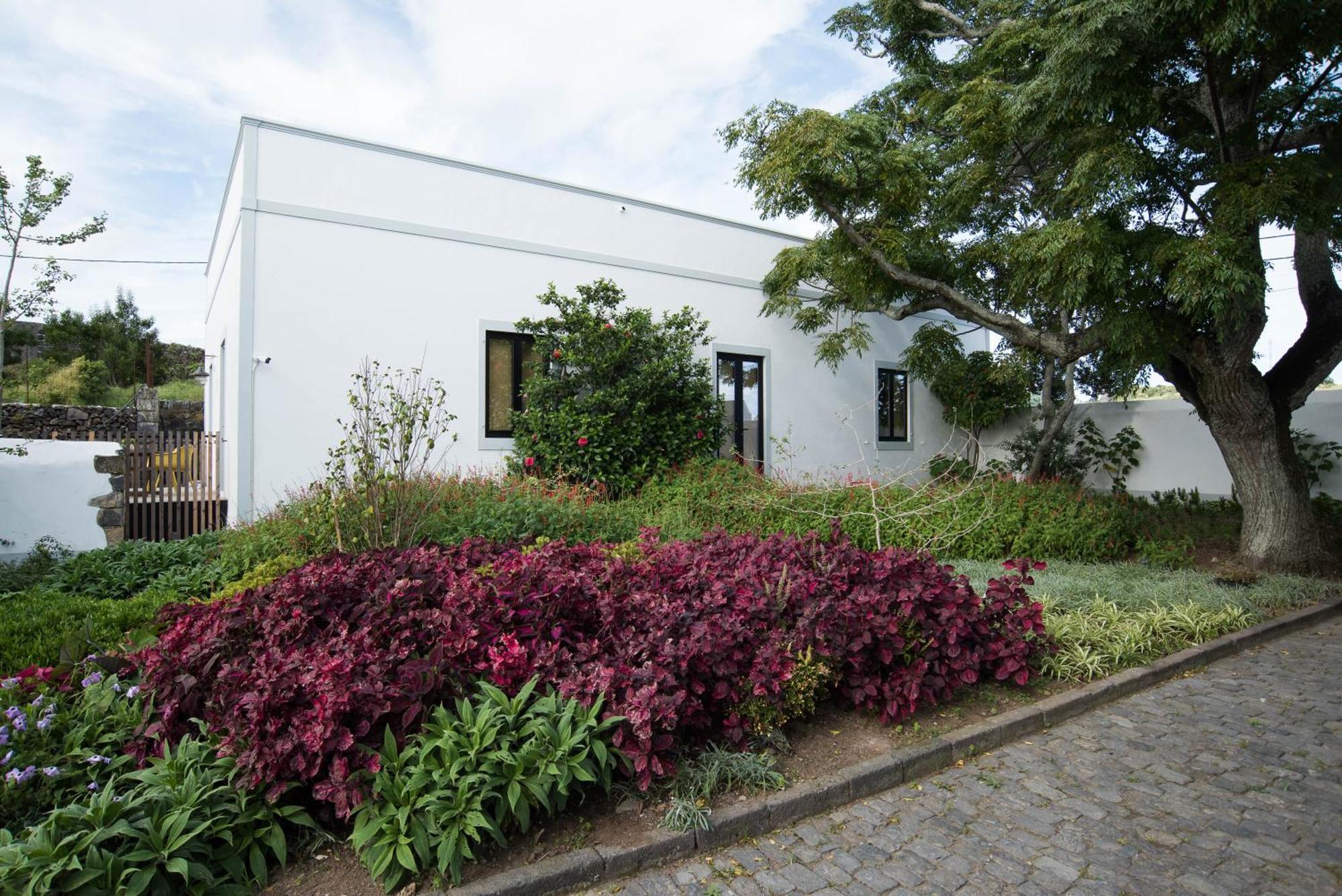 Hotel Casa Rustica Ponta Delgada Exterior foto